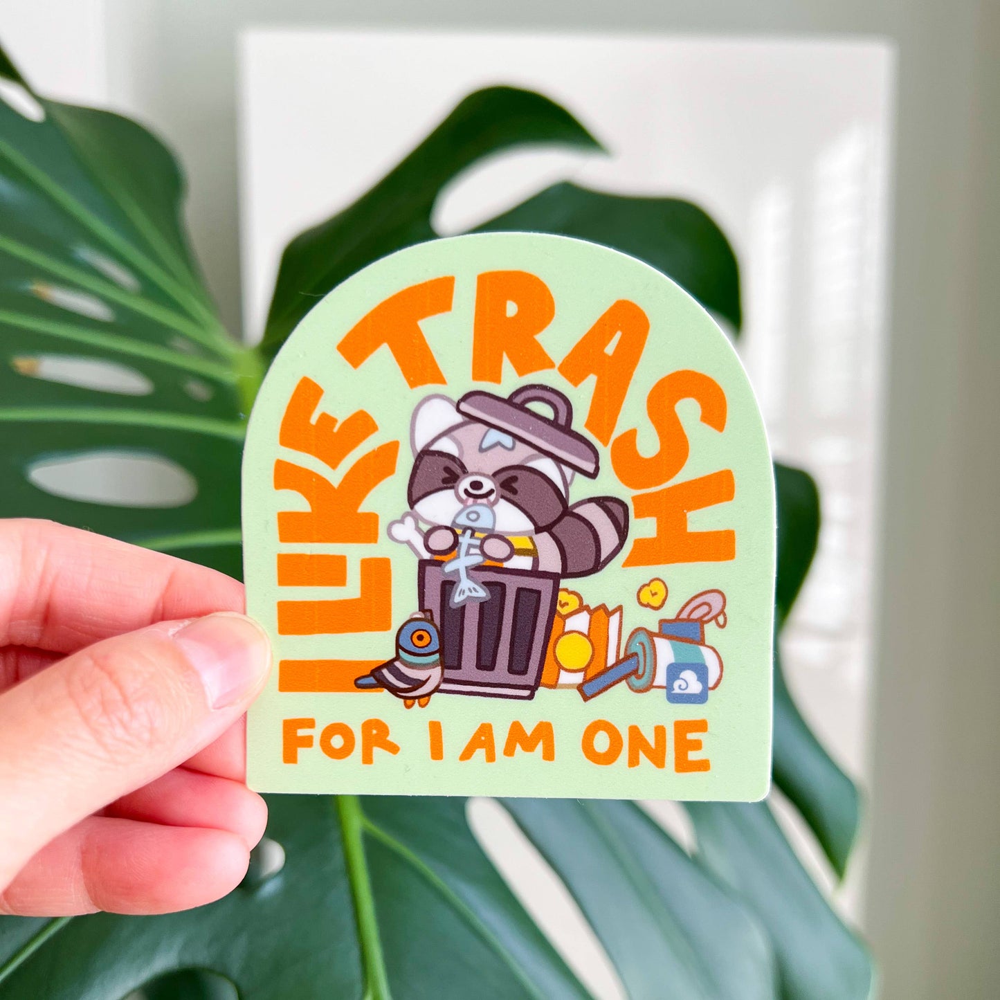 Friendly Raccoon Sticker