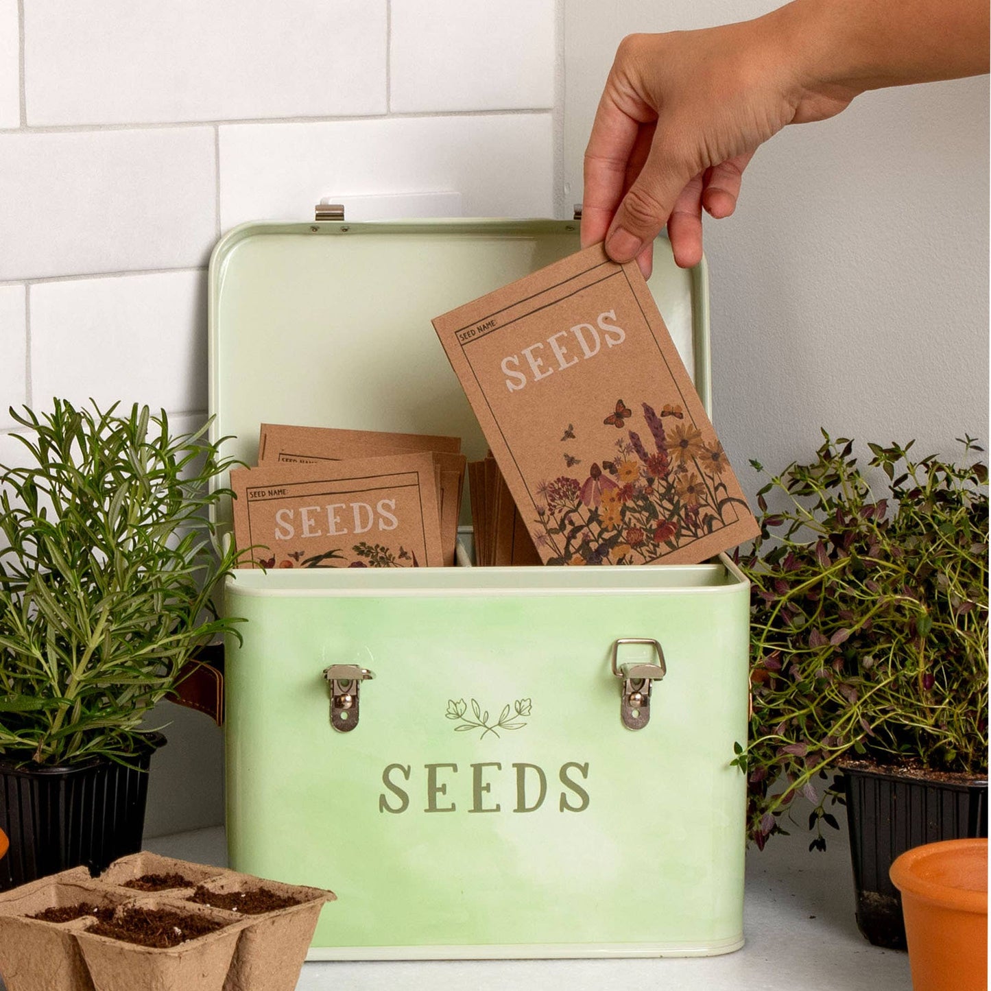 Green Seed Storage Box