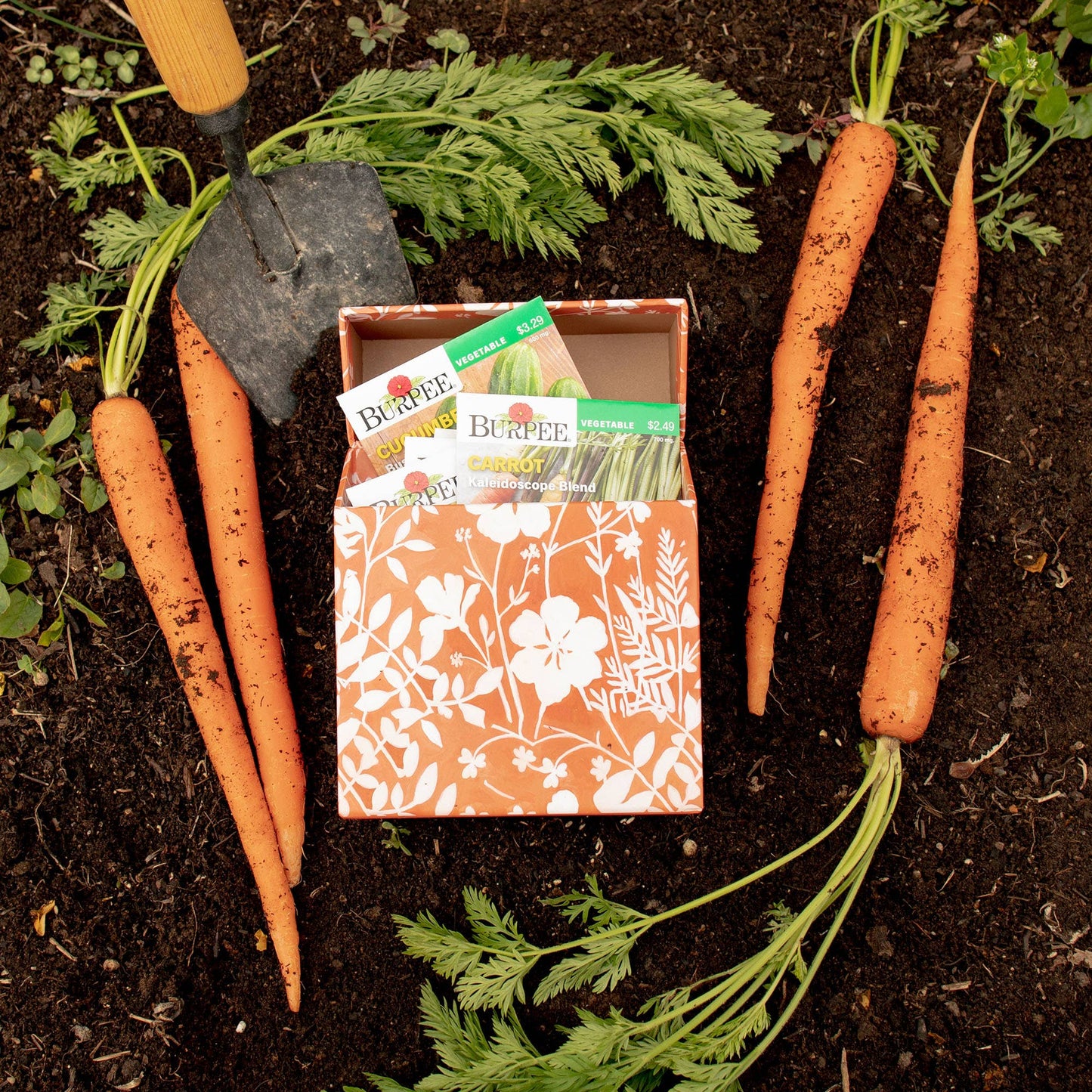 Specialty Greeting Card Box Set