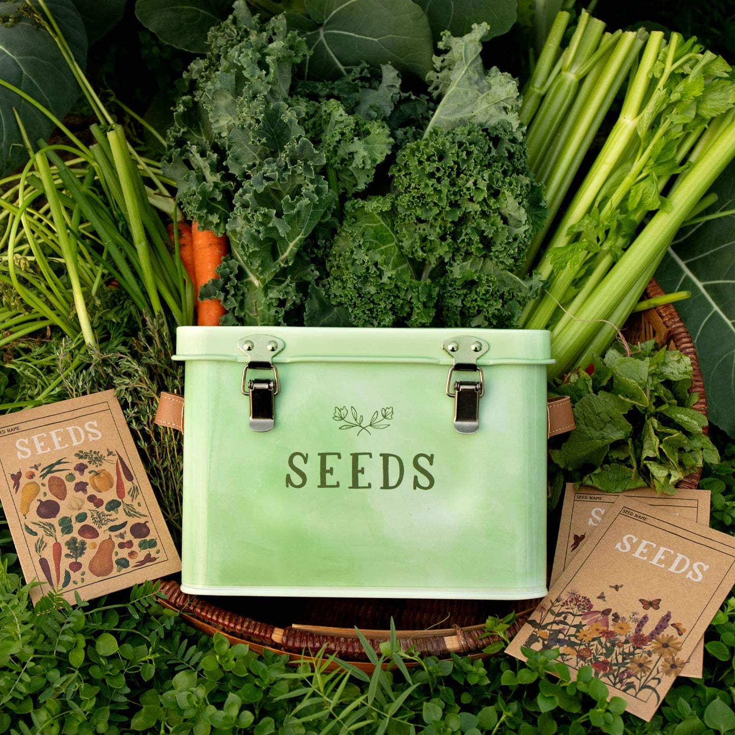 Green Seed Storage Box