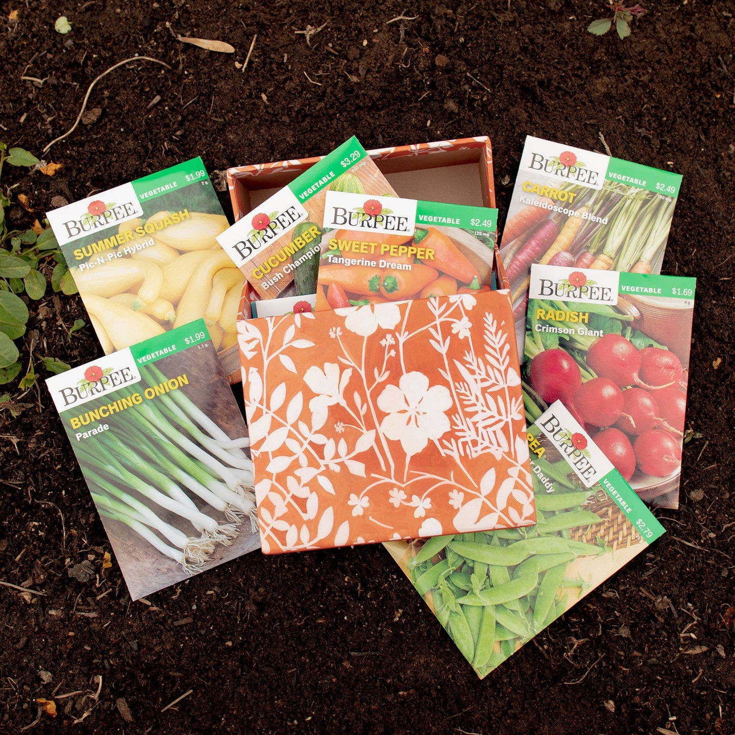 Specialty Greeting Card Box Set